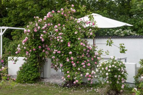Vallby Cottage Enköping Buitenkant foto