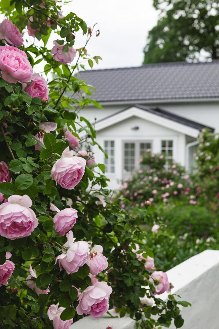 Vallby Cottage Enköping Buitenkant foto
